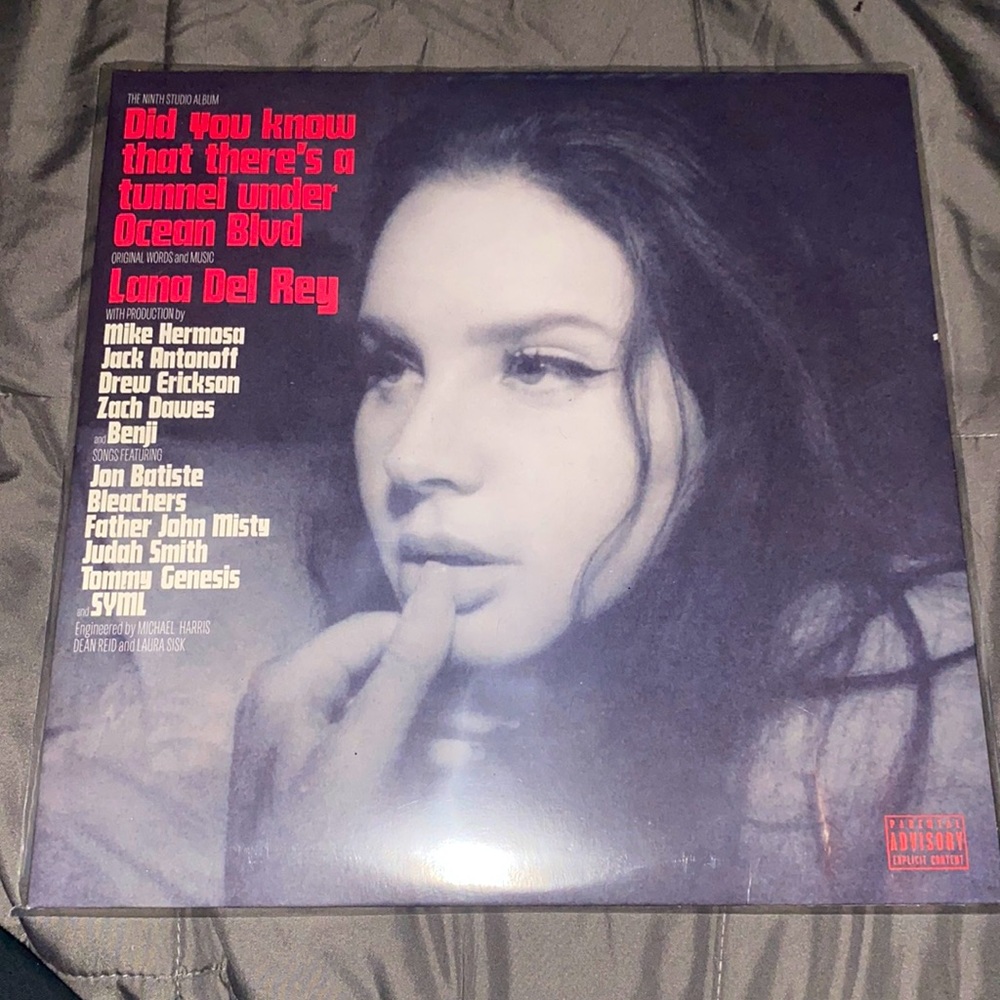 includes 2 vinyls